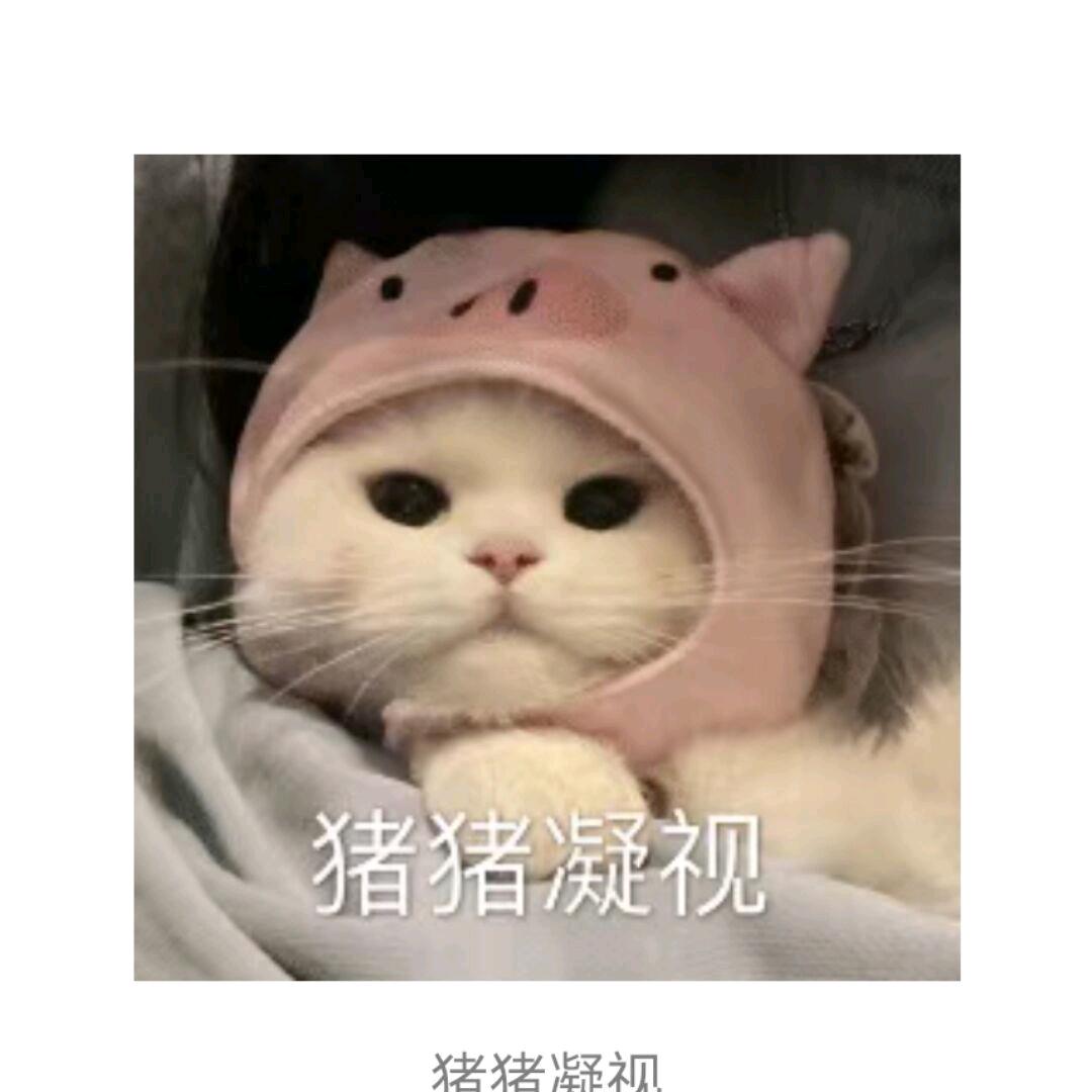 温柔的小哥哥