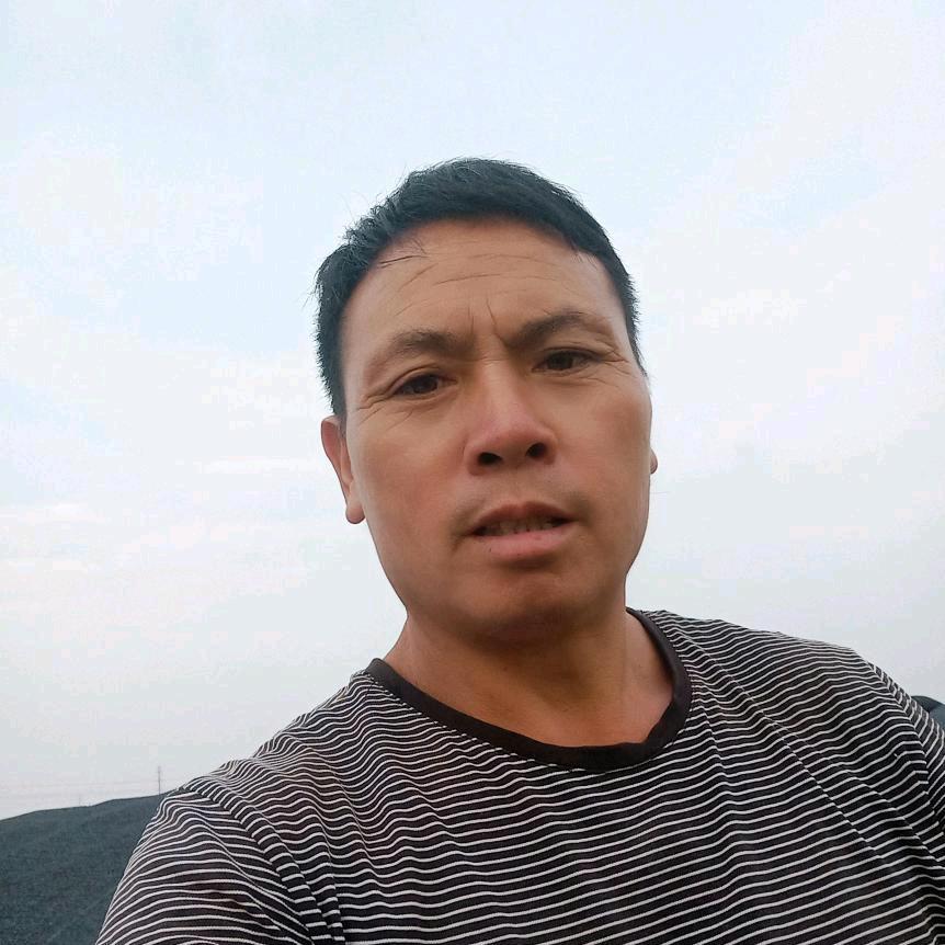 随心而动