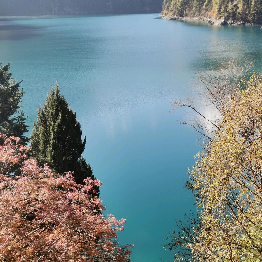 肥美和胖帅的解忧杂货店