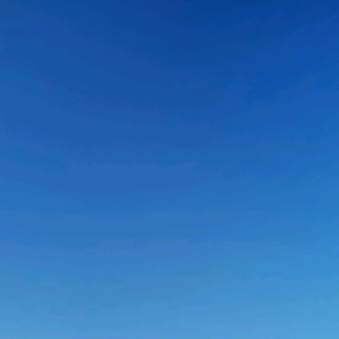 _246490110