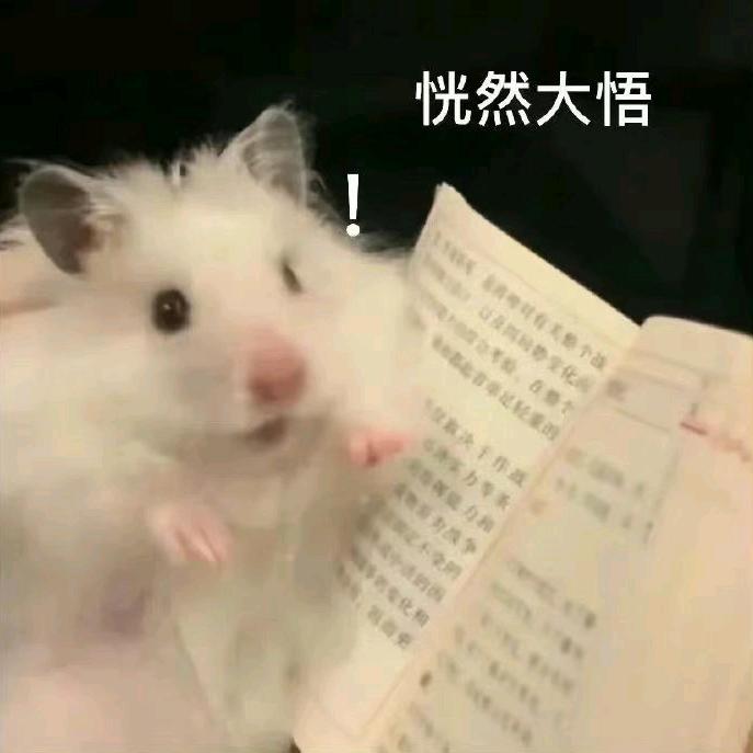 哇哒西瓜（朋友圈版）