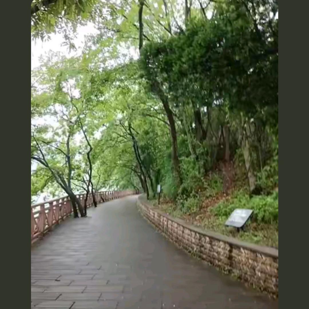 春满人间