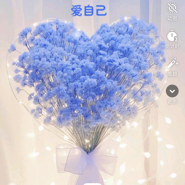 不在留恋过去