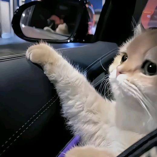 早川（三角洲行动）