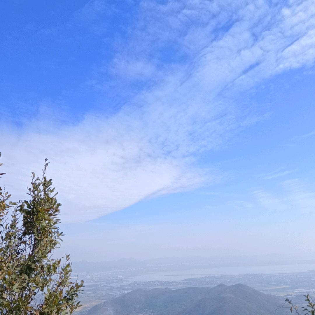 晓月