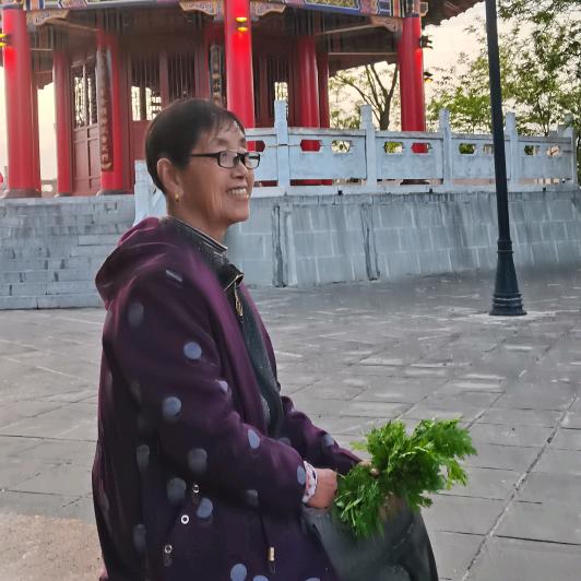 龙奶奶