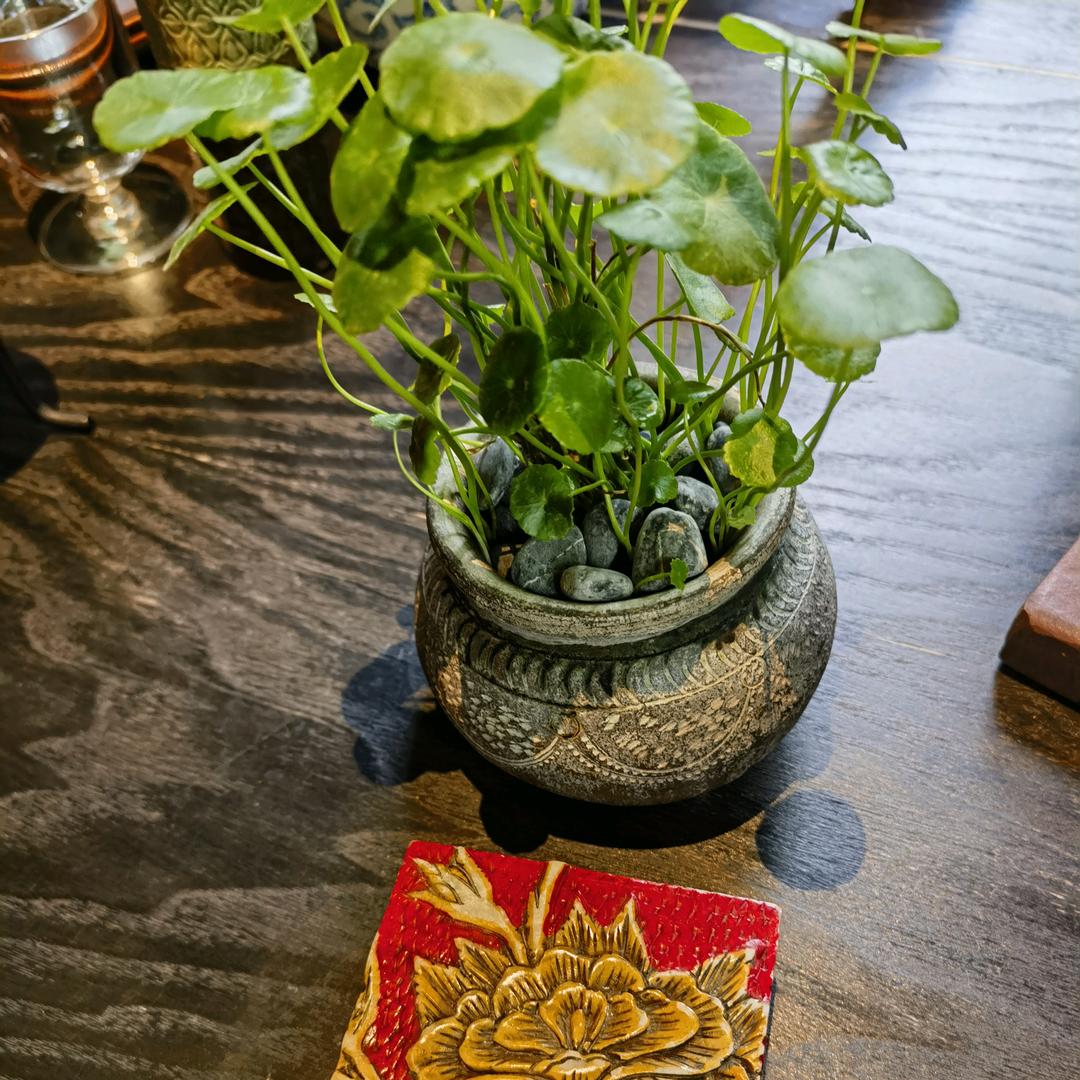 漂泊酒的寂寞