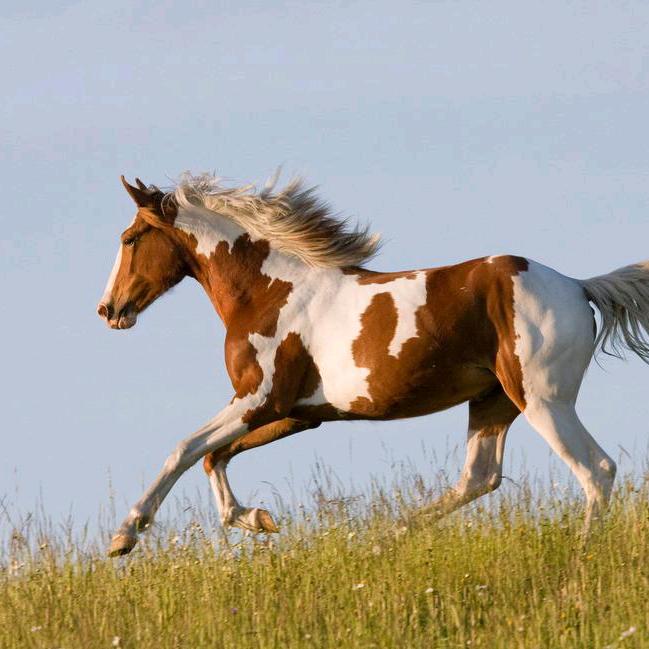 2012.4.24工地大哥哥