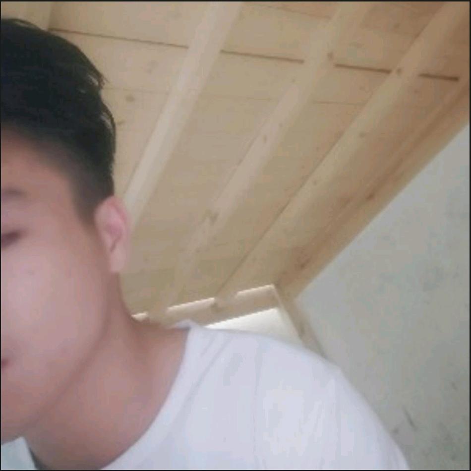 一根聪