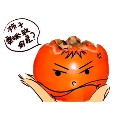 软柿子导航