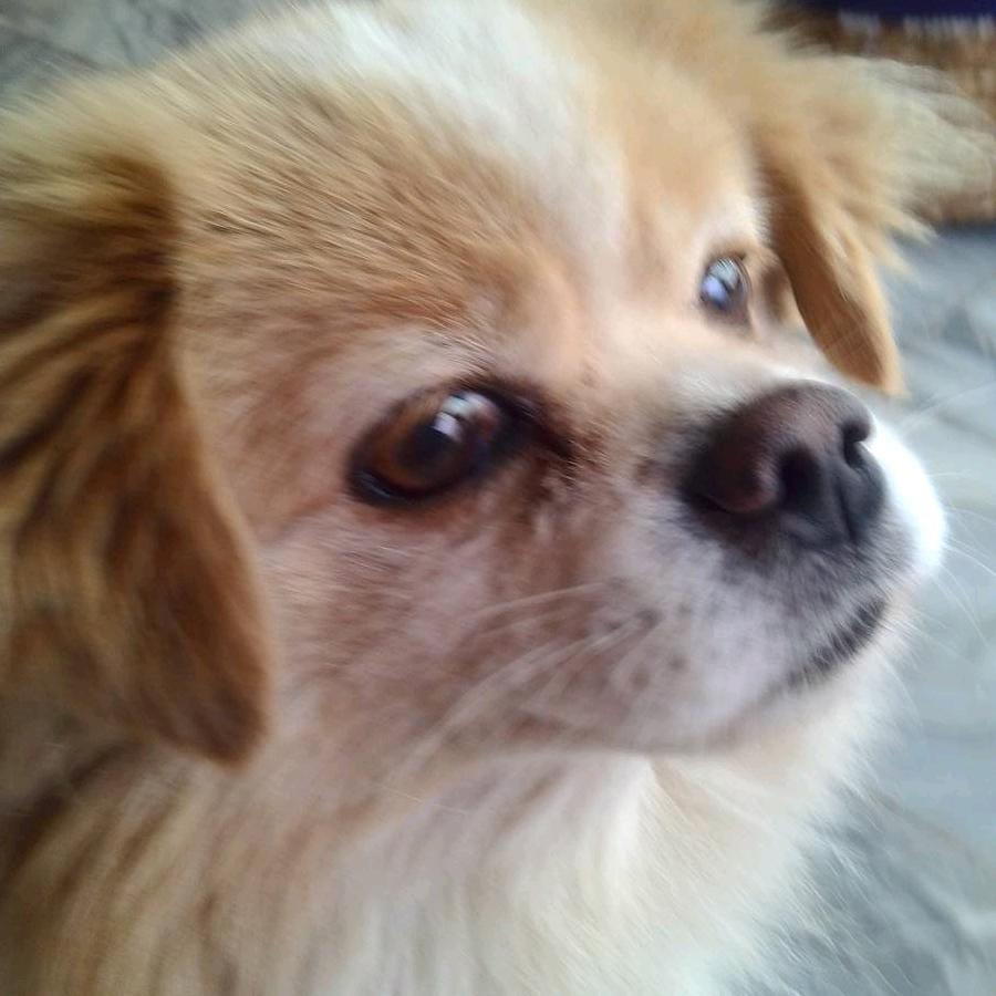 再平凡，姐也是限量版！