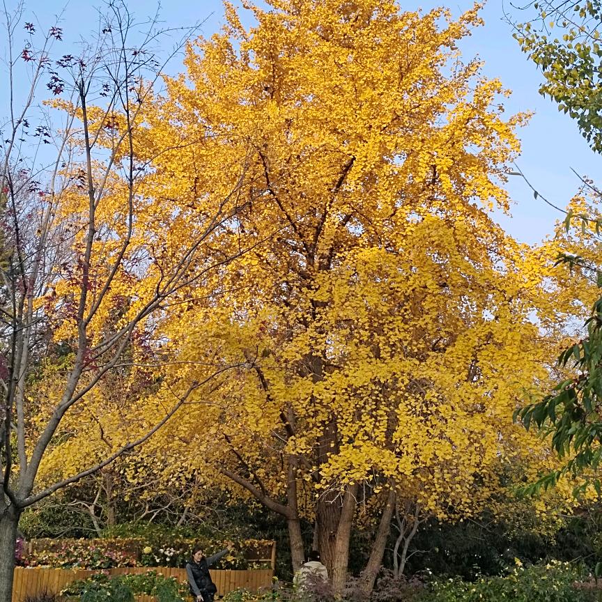 蓝密码智能全屋净水
