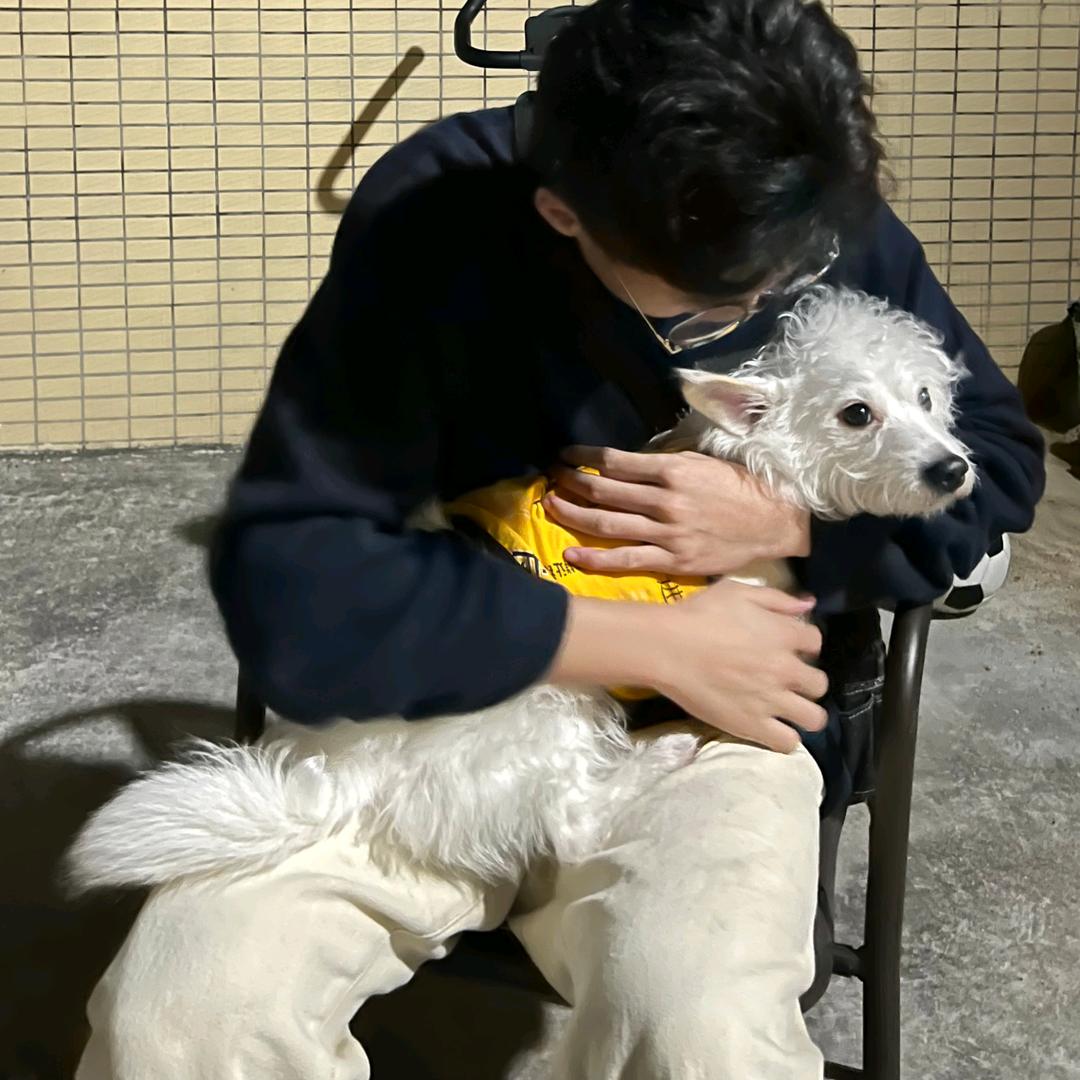抱着鳄鱼睡大觉