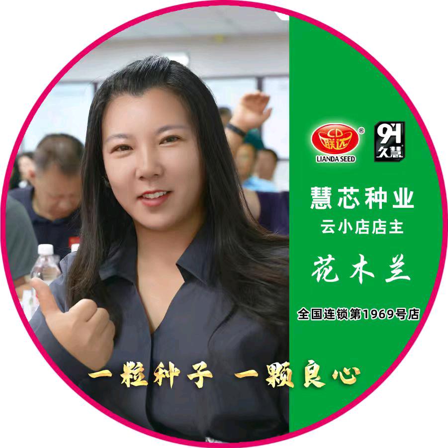联达慧芯云小店-花木兰
