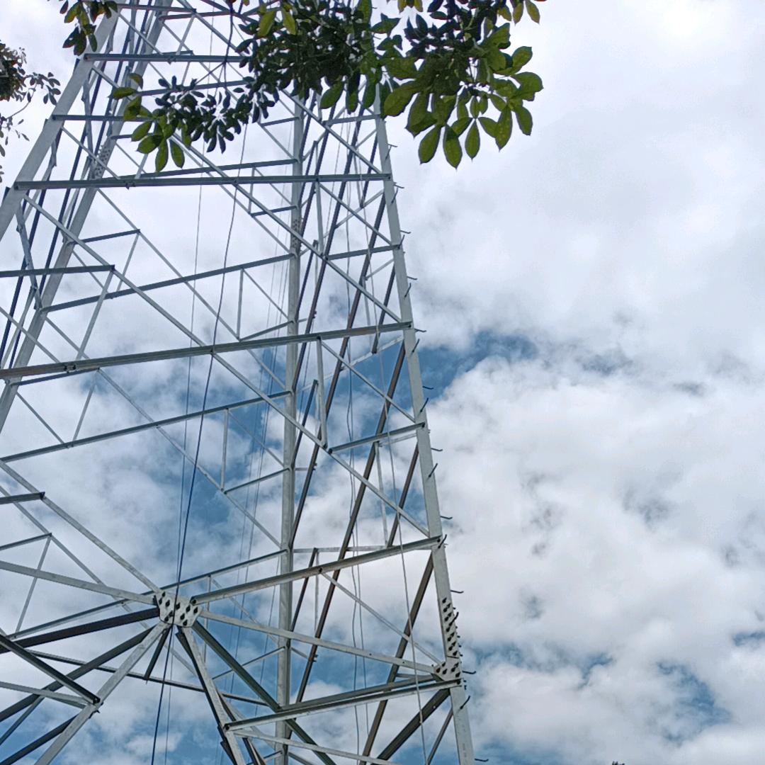 随风飘扬，，，，，