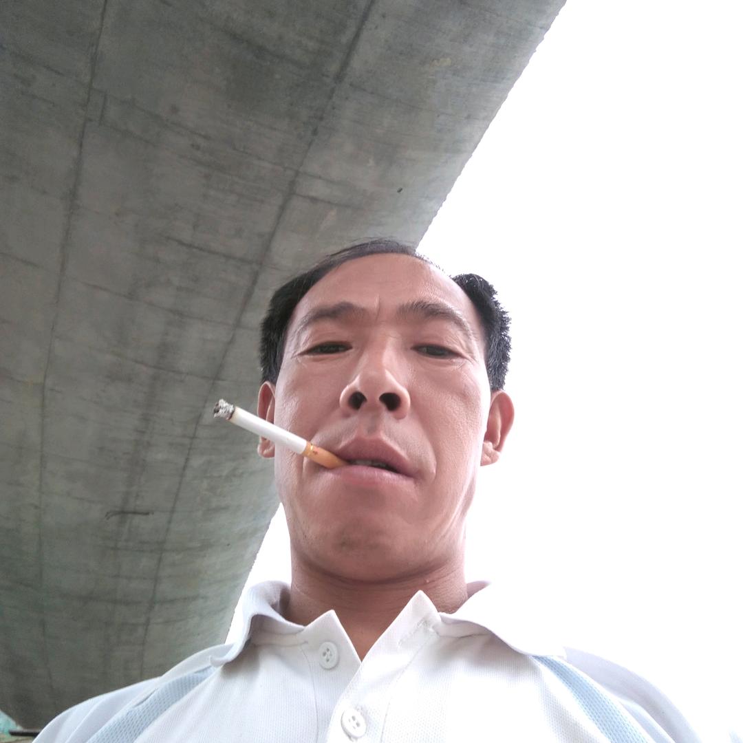 鸿莺伴随