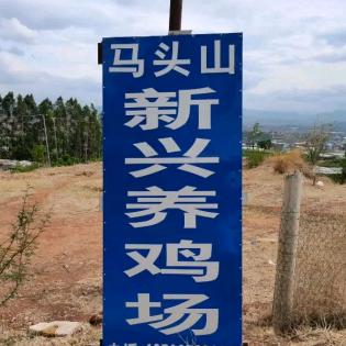 小留尼(马头山新兴养鸡场)