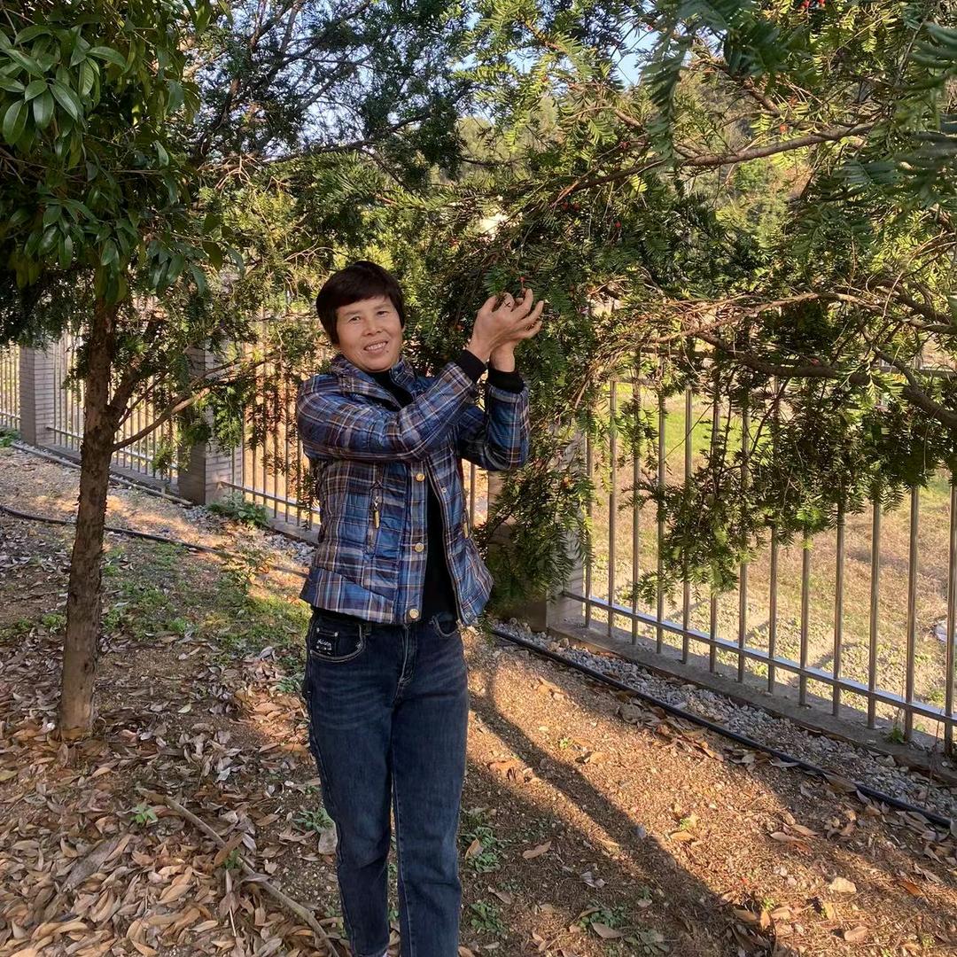 井开区倪静百货店（个体工商户）