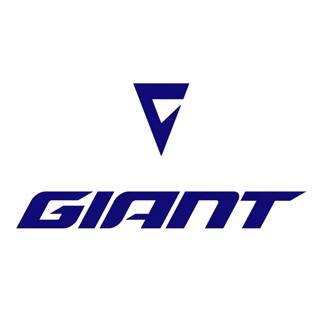 捷安特专卖店(阳谷店)