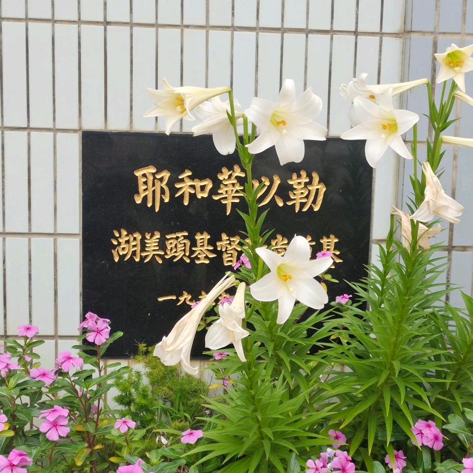 彬芬晨昊