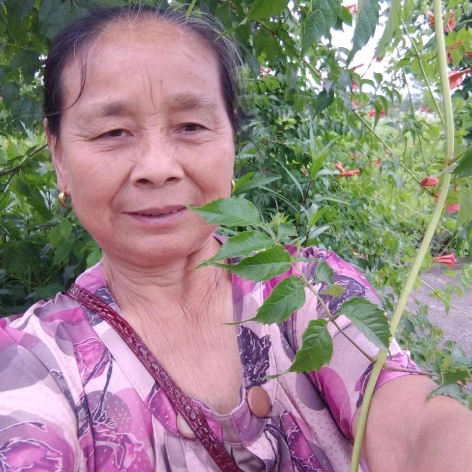 正梅仔