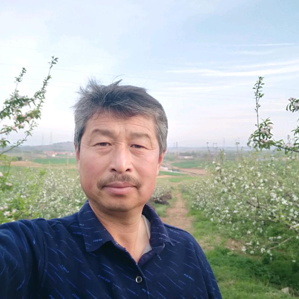 荣成红裤子哥不套袋苹果（金莱泰）