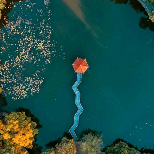 艳丽的阳光