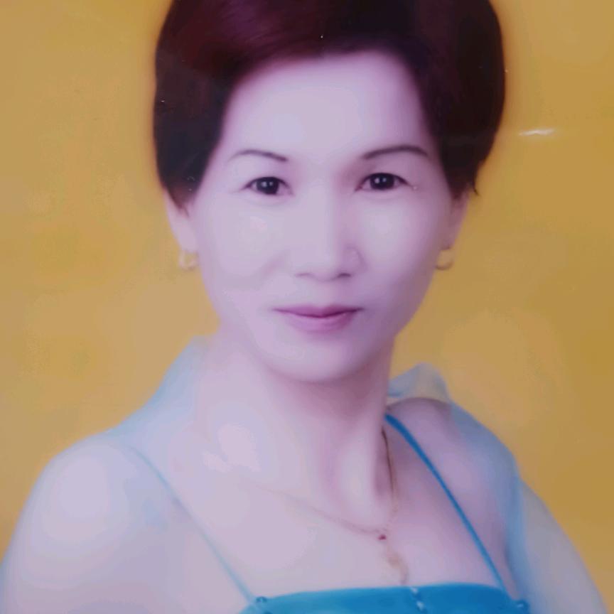 凤凤