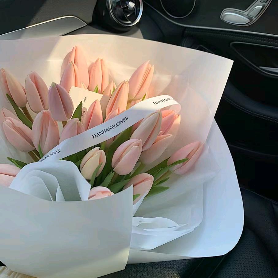 红嘴唇半边的诱惑