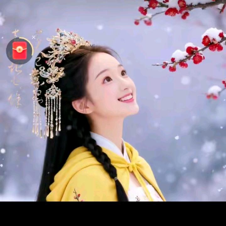 鱼加鱼✨✨✨✨