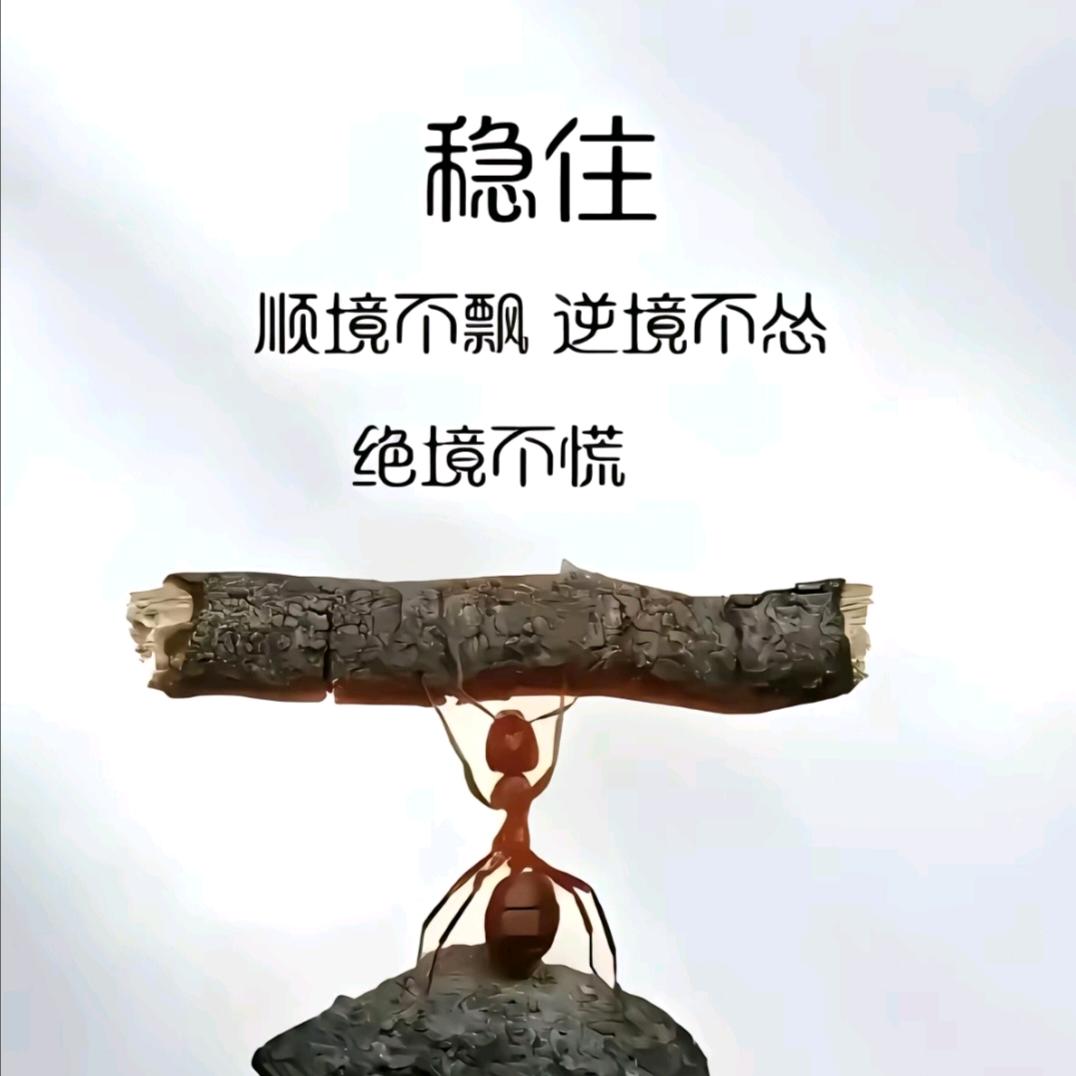 扶苏采薇