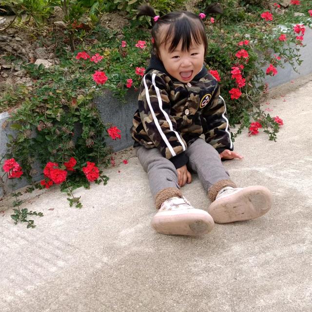 阳光