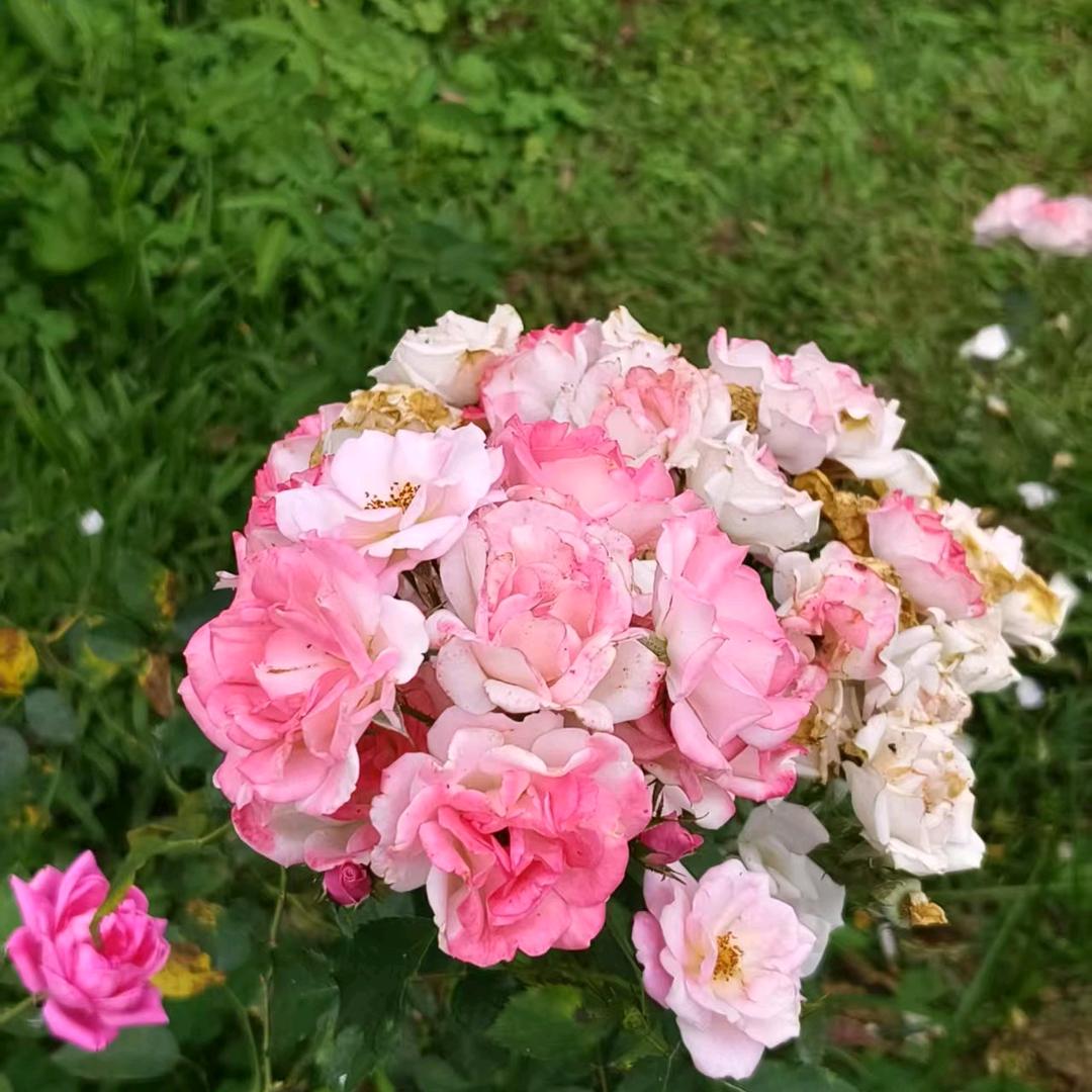 雨过天晴