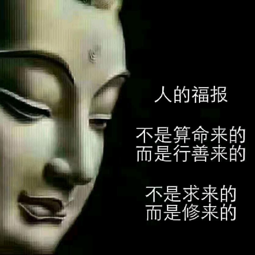 金錢豹Money Leopard