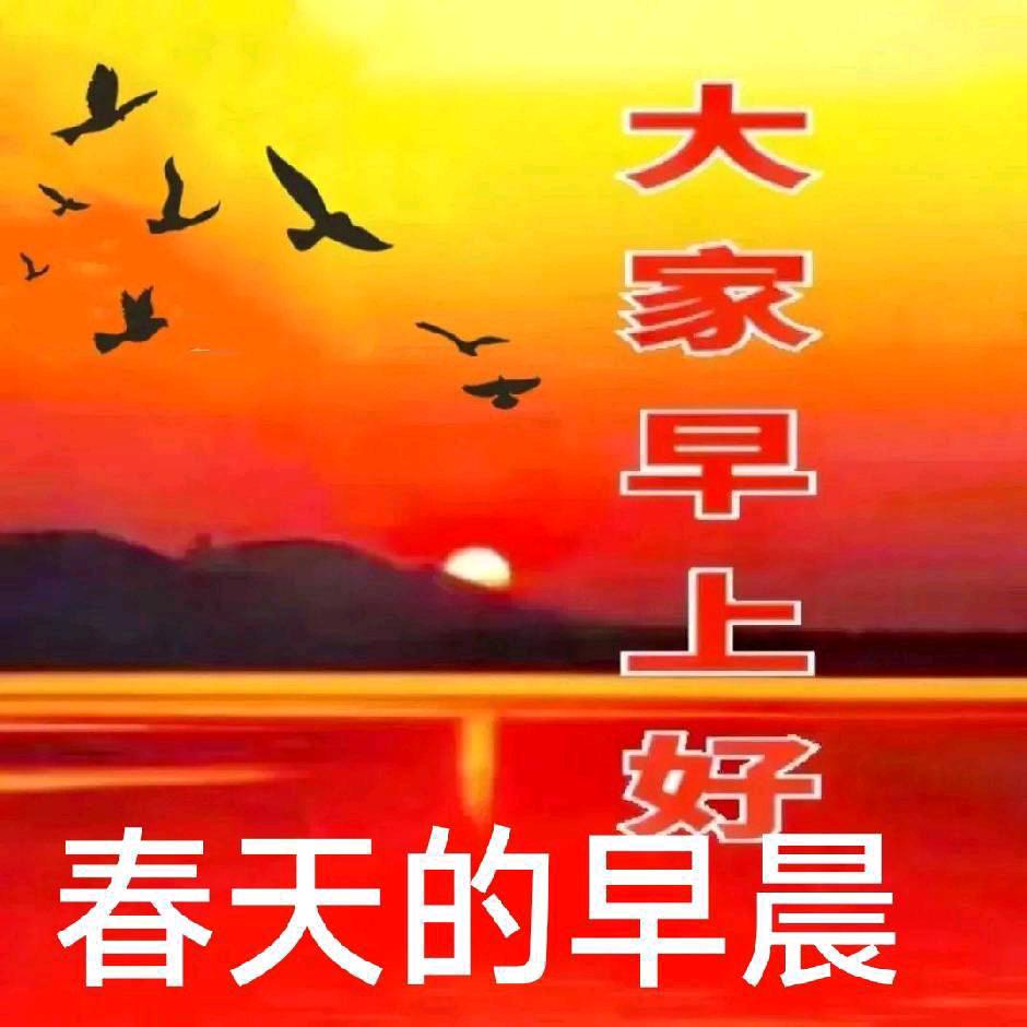 春天的早晨