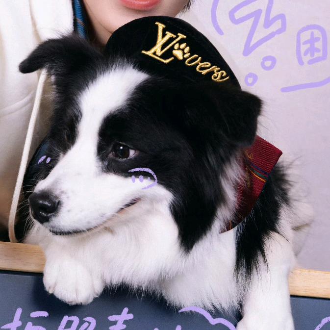 不爱吃香菜的syx