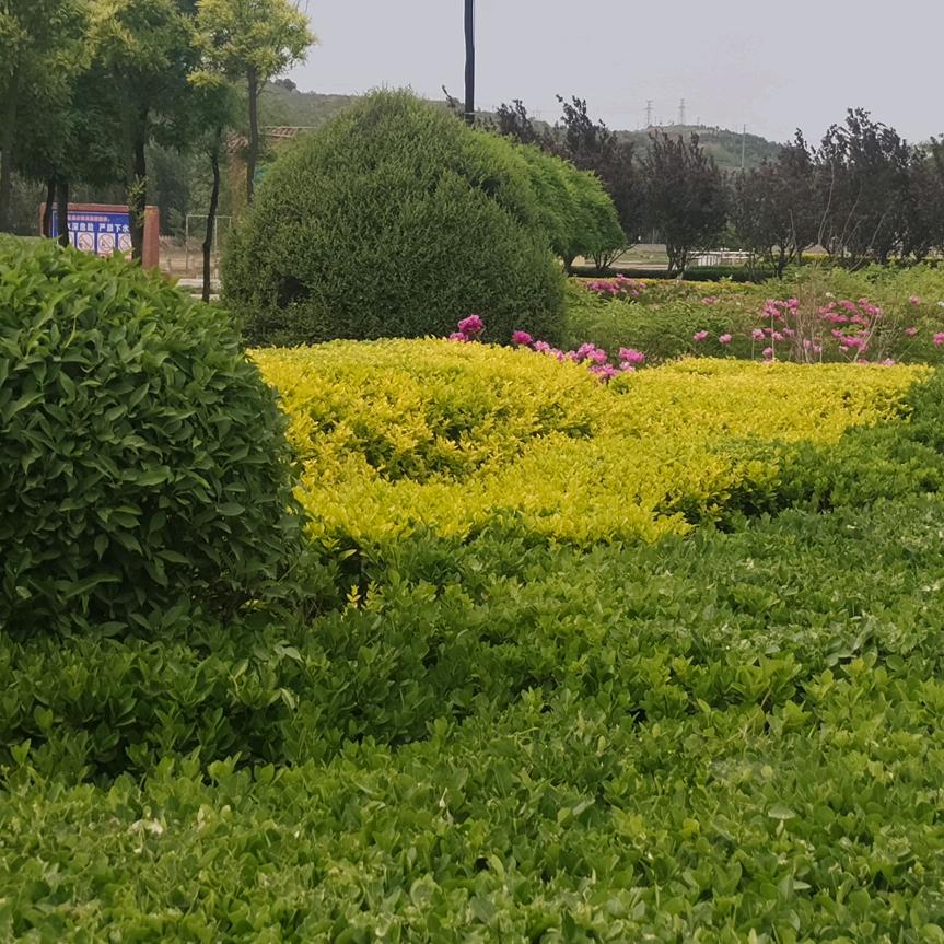 习惯了的习惯