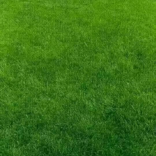 阳光之心