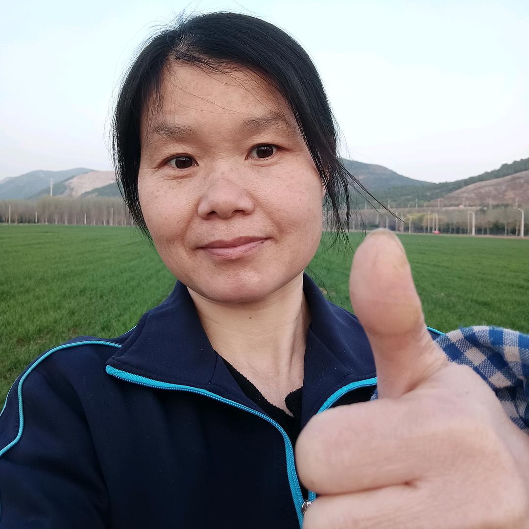 🌾农民老阿姨→自学英语 🌍