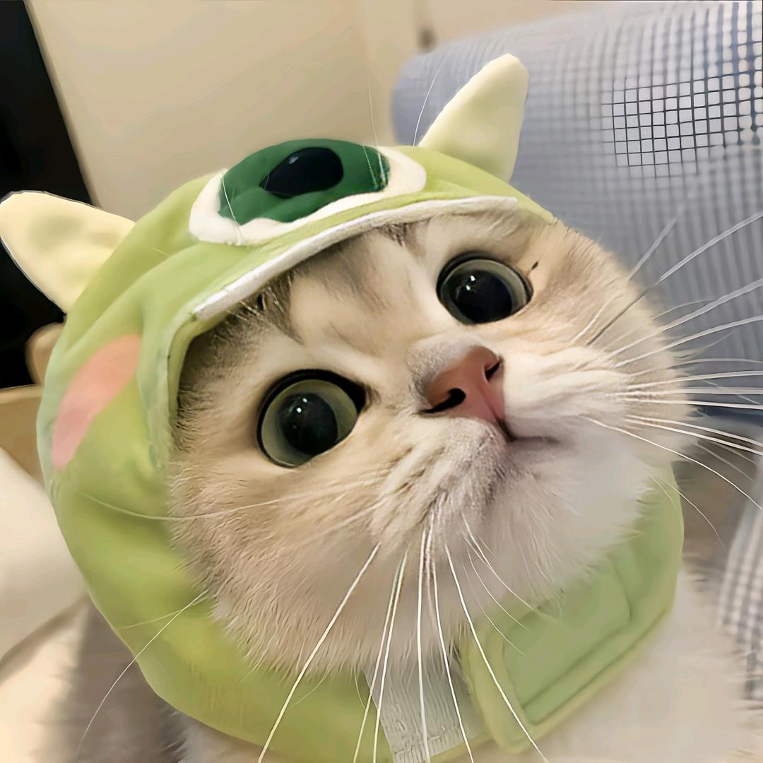 星坠meme