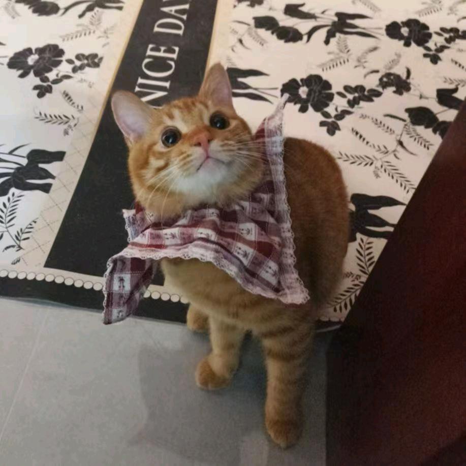 oi