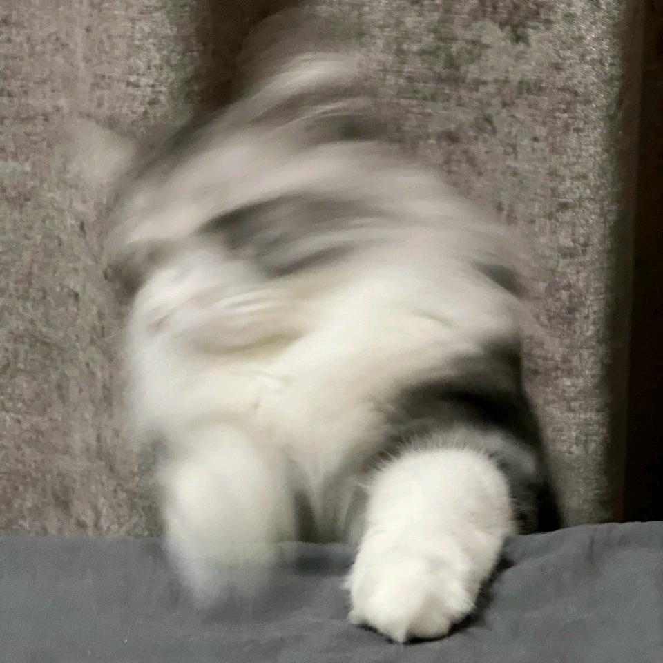 睡不醒z