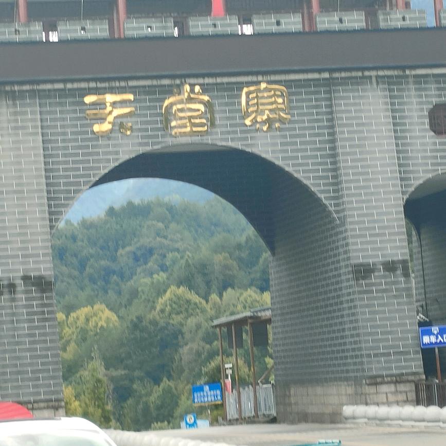余生随心