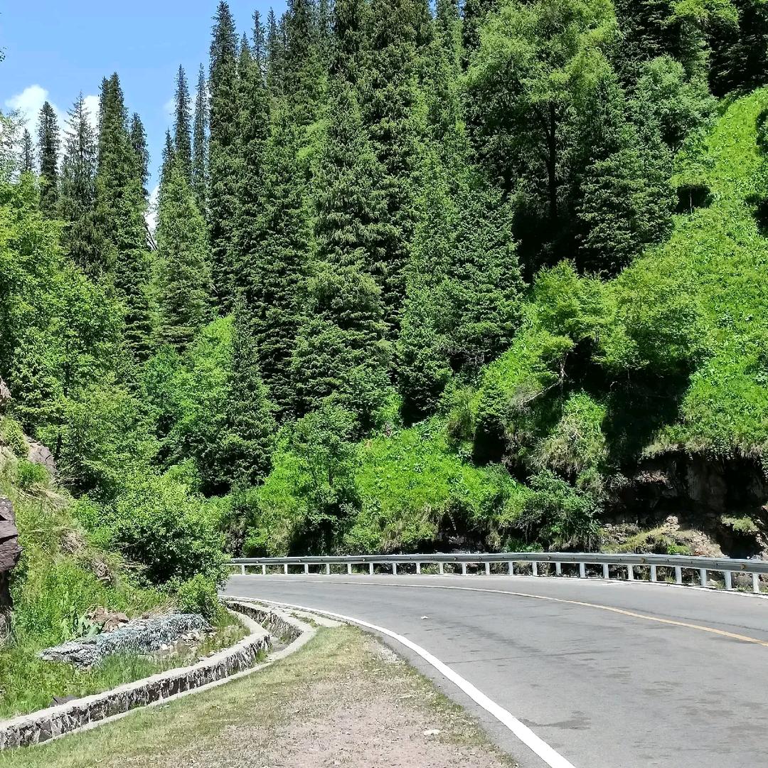 游四哥，（我和草原有个约定）。