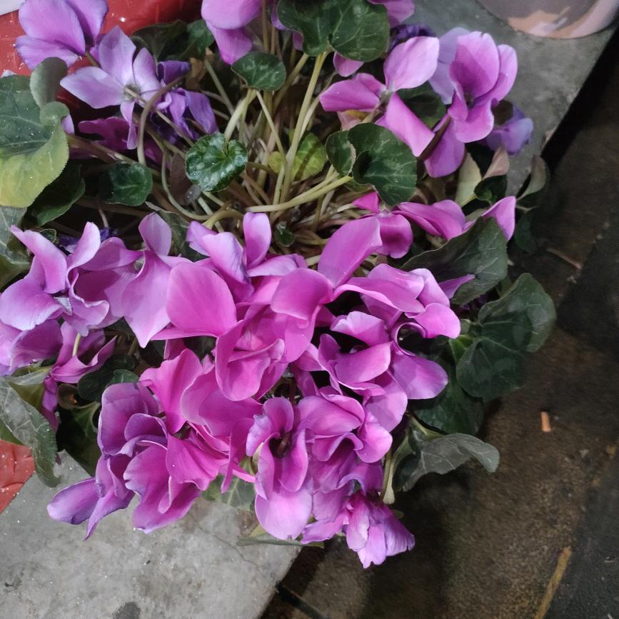 有你真好。❤️❤️