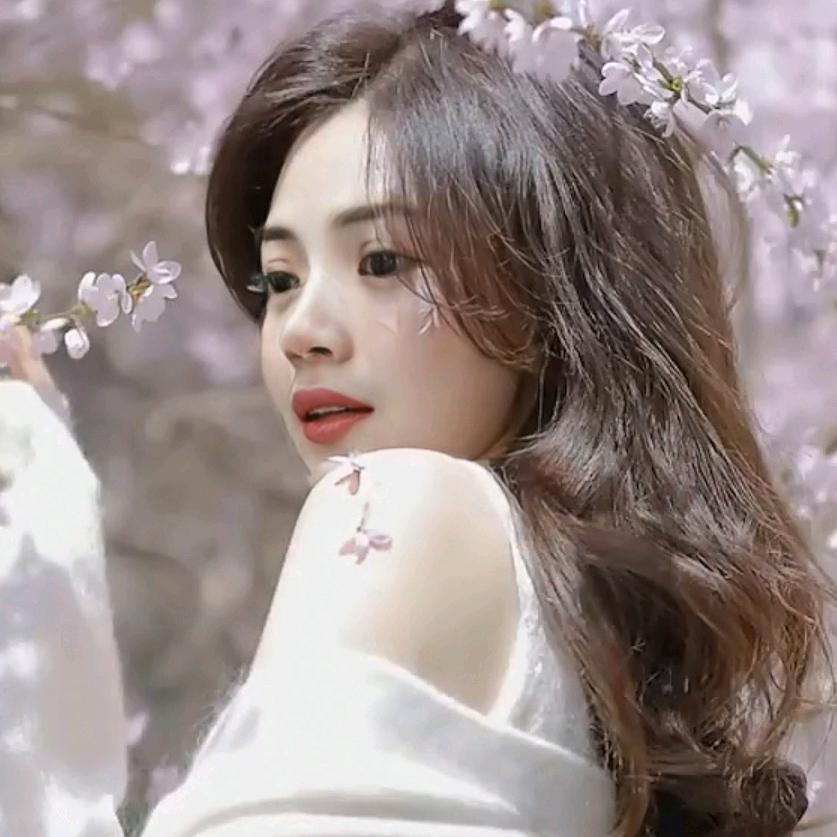 小罗☪