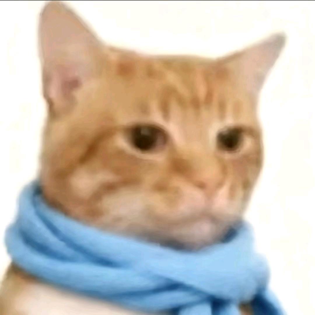 韶离