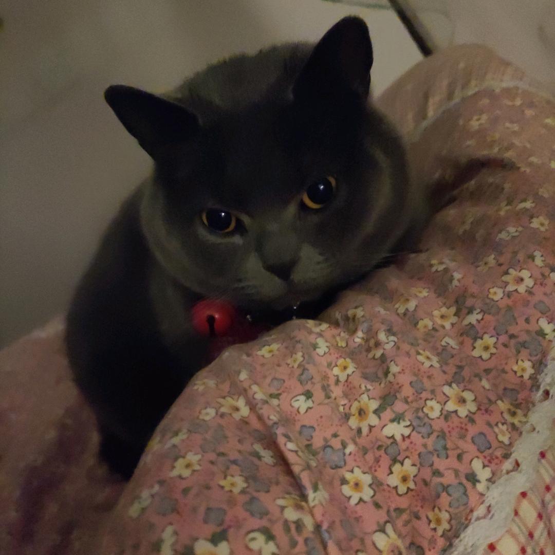 永盛棋牌&坏男人