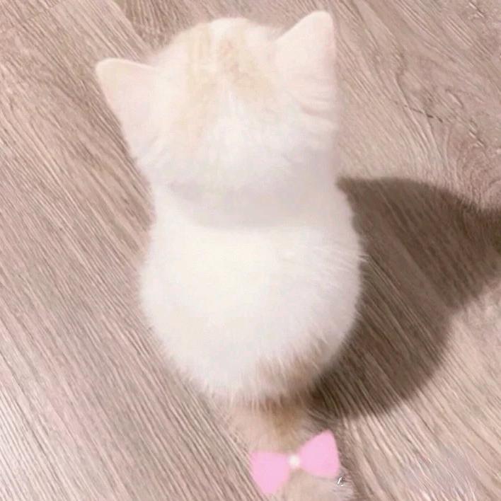 瑶瑶吖^O^