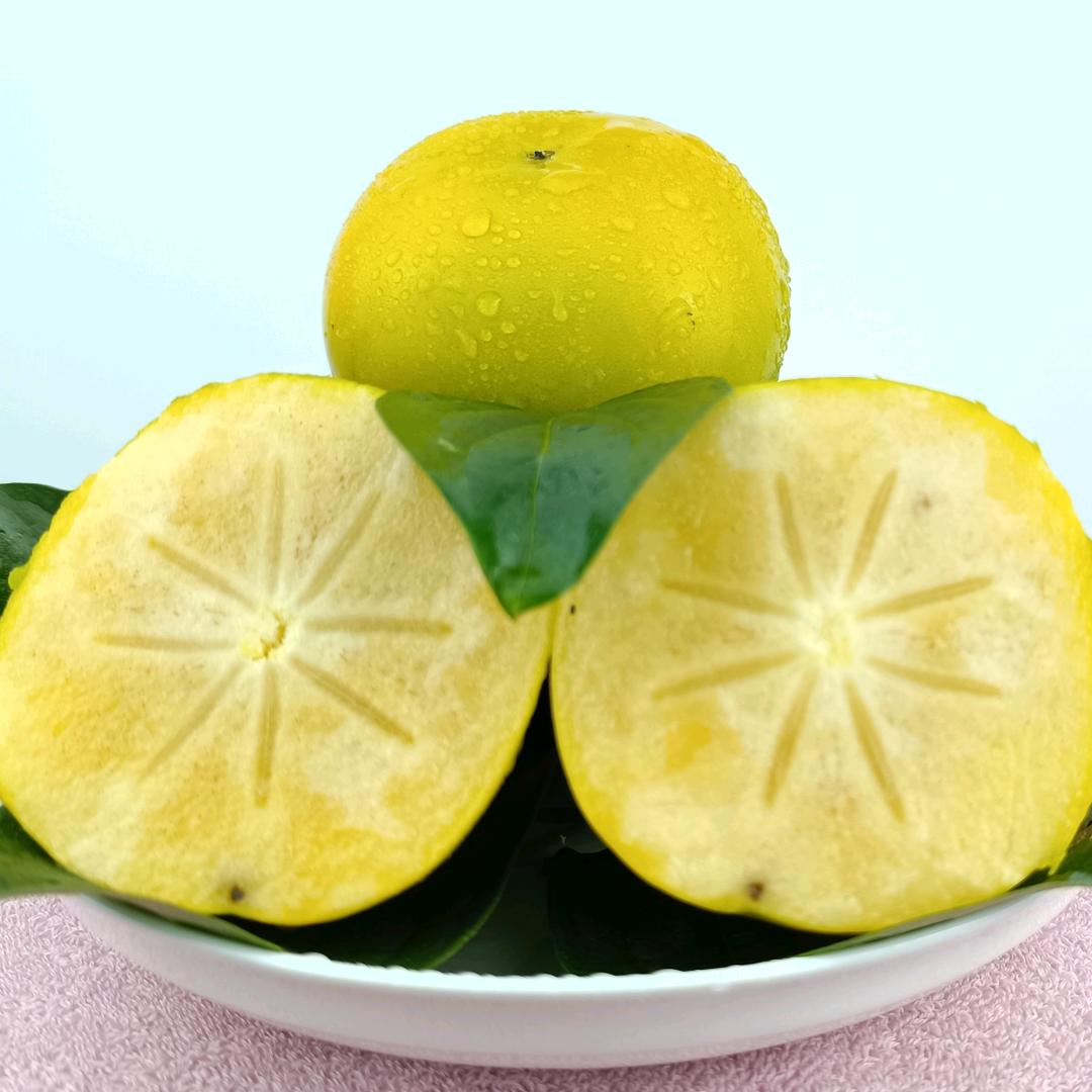 小寸的驻村生活-维西益参合作社